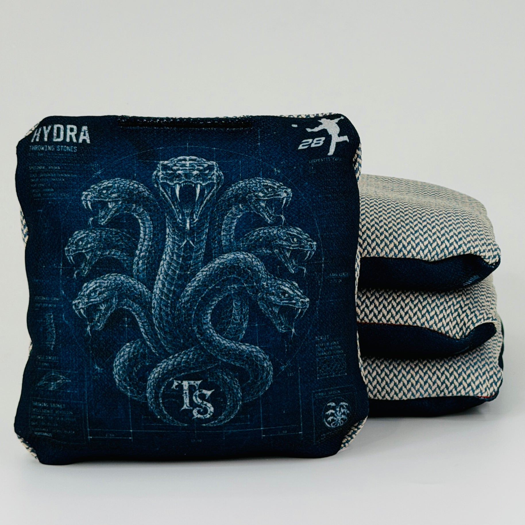 Hydra